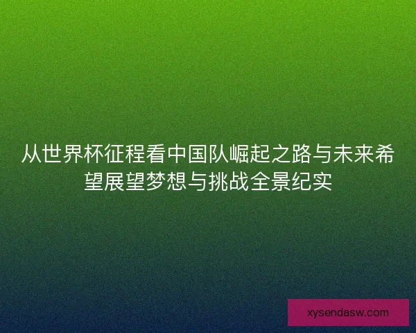 从世界杯征程看中国队崛起之路与未来希望展望梦想与挑战全景纪实